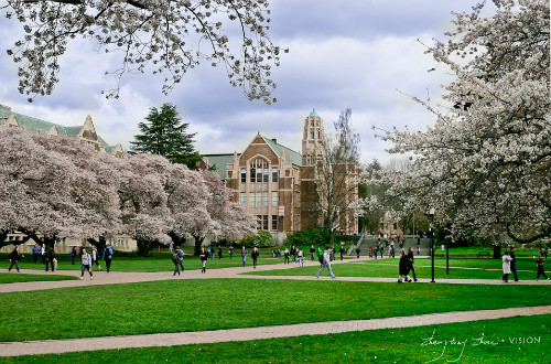 华盛顿大学 University of Washington