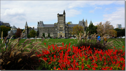 多伦多大学 University of Toronto