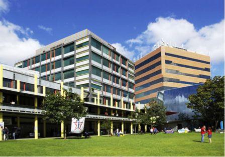 莫纳什大学