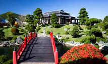 Osaka International School 大阪国际学校
